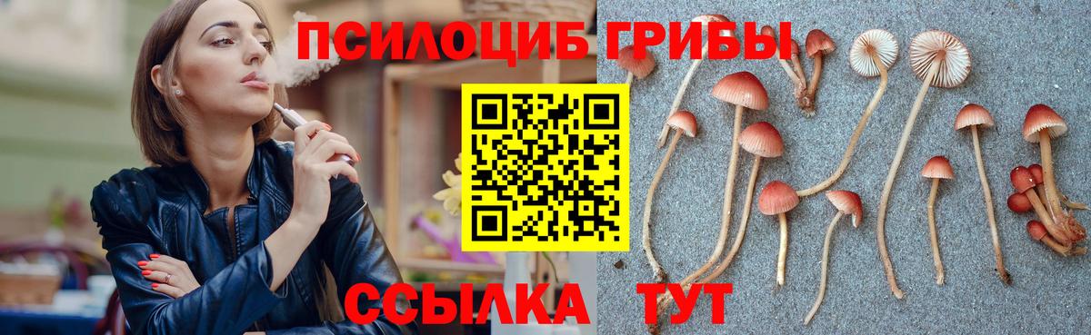 Псилоцибиновые грибы Psilocybine cubensis  Вход с VPN  Биробиджан  Галлюциногенные грибы Psilocybe 