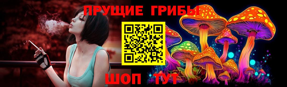 Псилоцибиновые грибы GOLDEN TEACHER Биробиджан